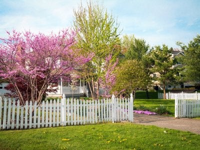 home - fencing